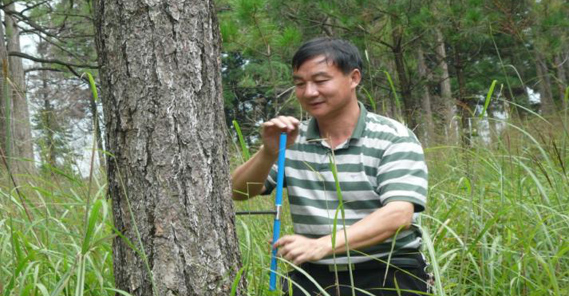 中南林業科技大學研究員，碩士生導師