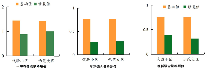 農田鎘汙染羞羞网站在线播放3